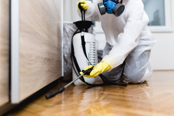 Best Wildlife Control Services  in Tatum, TX