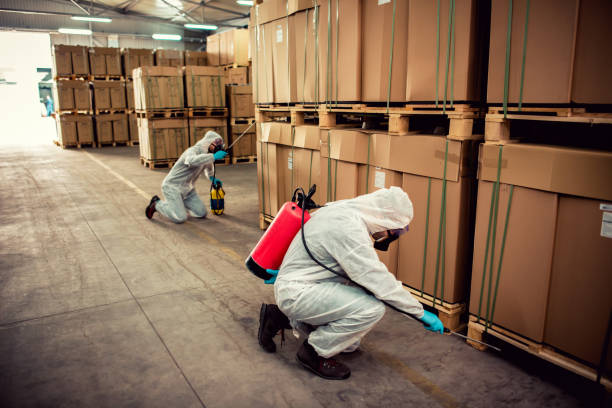 Best Pest Prevention Services  in Tatum, TX