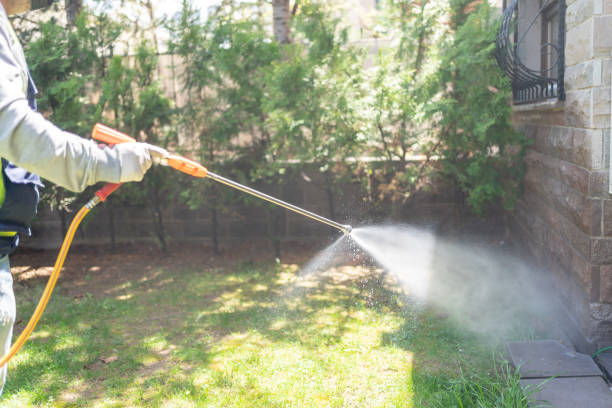 Reliable Tatum, TX Pest Control Solutions
