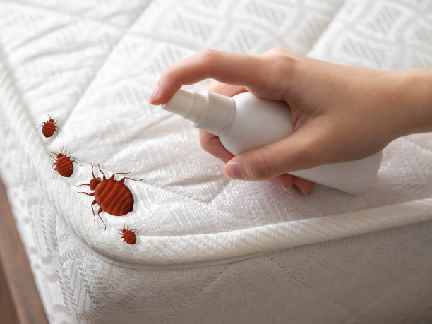 Best Emergency Pest Control  in Tatum, TX