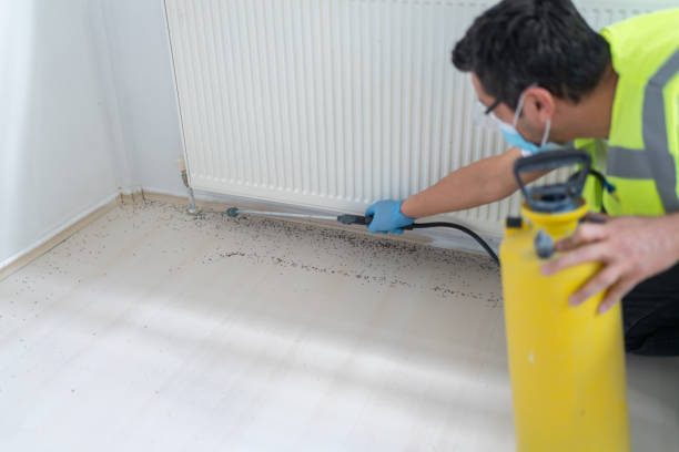 Best Best Pest Control Companies  in Tatum, TX